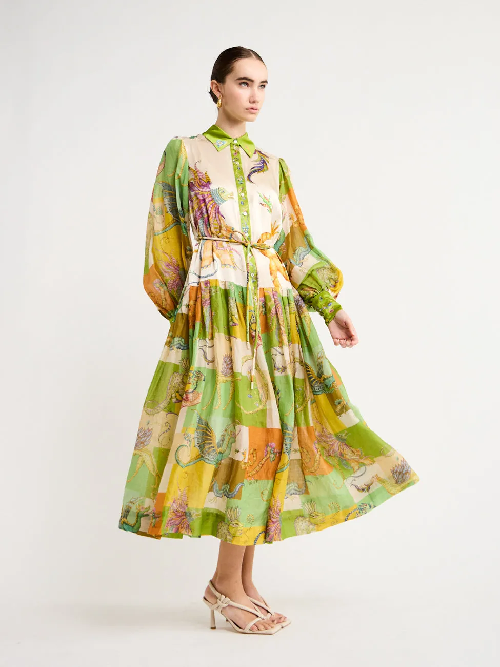 Alemais Jerome Shirtdress in Multi