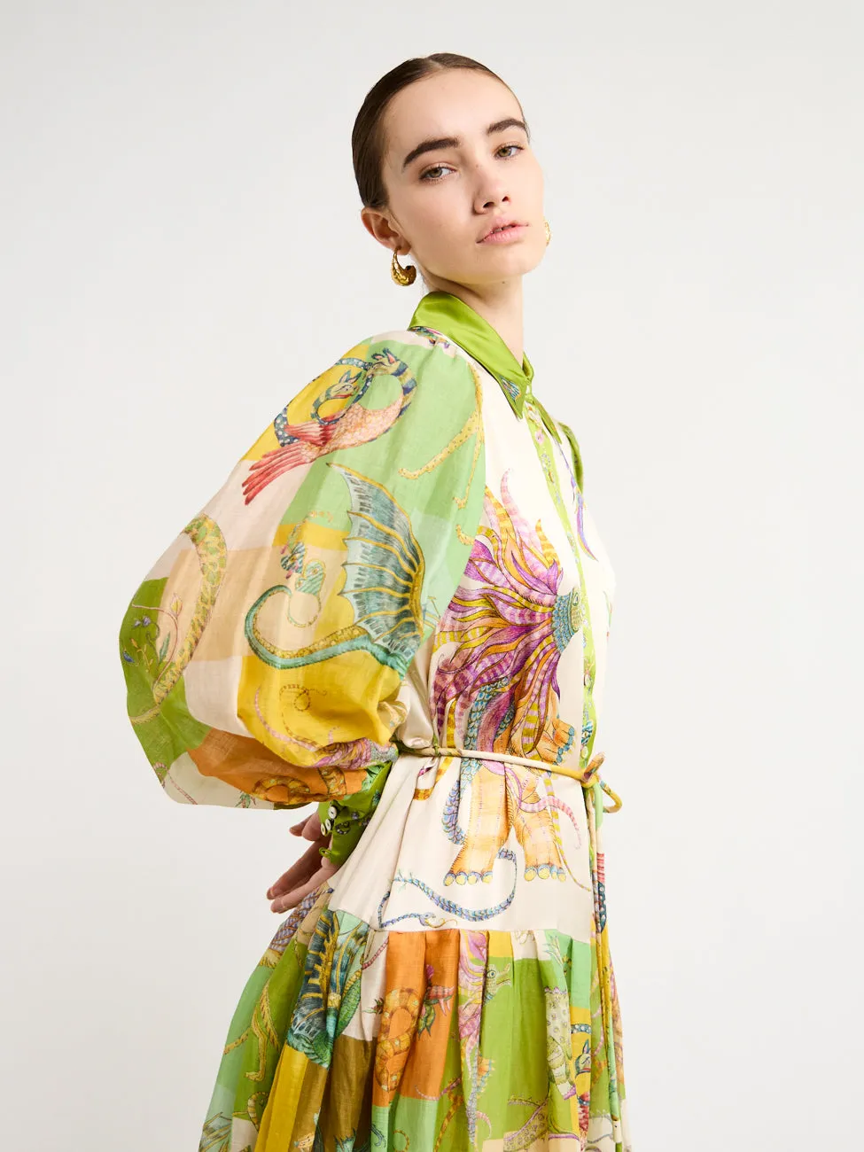 Alemais Jerome Shirtdress in Multi