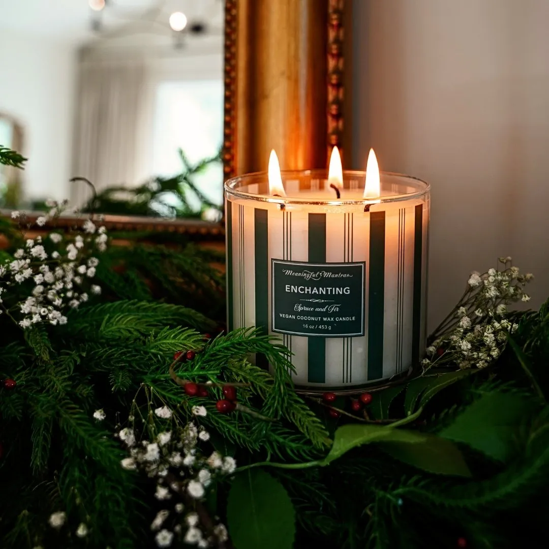 Festive 3-Wick Spruce & Fir 16oz Candle