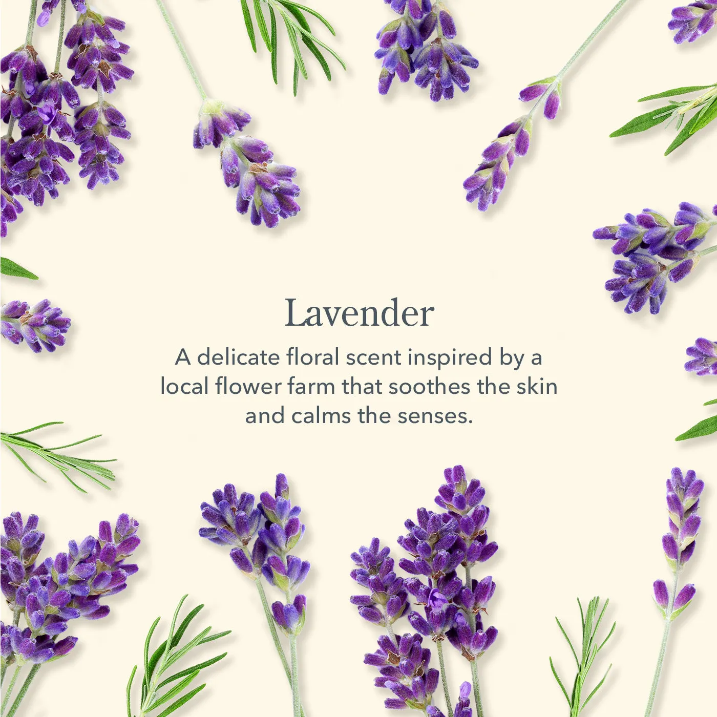 Lavender Mini Hand Cream Set of 3