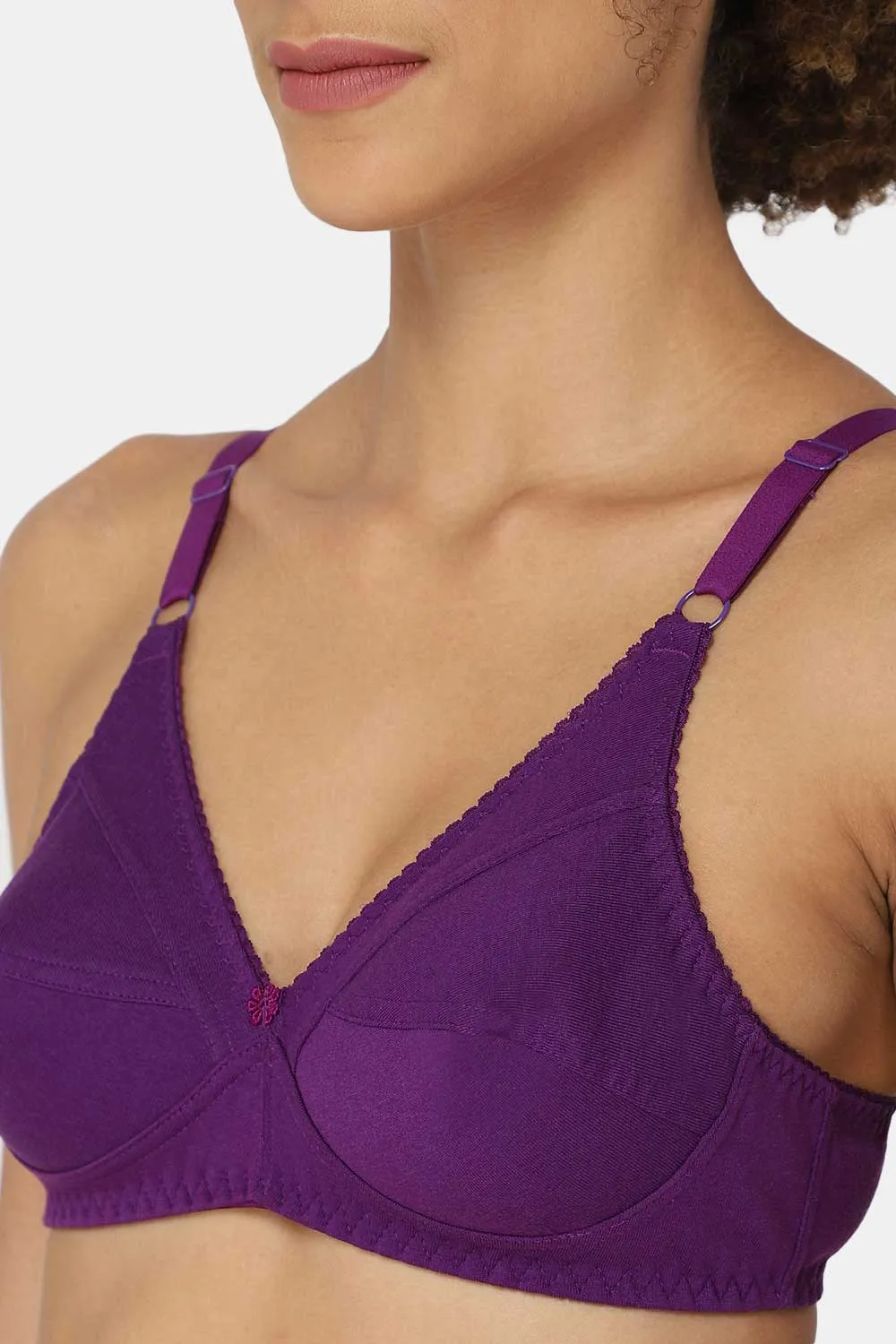 Naidu Hall Knitwear-Bra Special Combo Pack - Charmi - C34