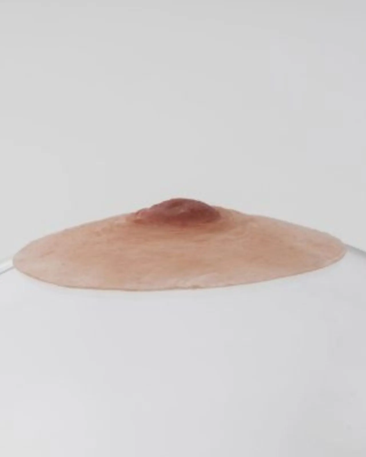 Premium Natural-Looking Pink Perfect Prosthetic Nipples